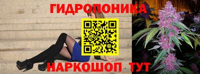 ПСИЛОЦИБИНОВЫЕ ГРИБЫ Новозыбков