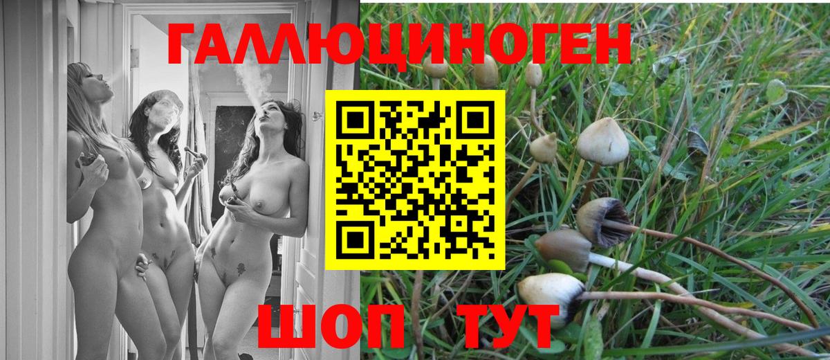 Галлюциногенные грибы GOLDEN TEACHER Пятигорск