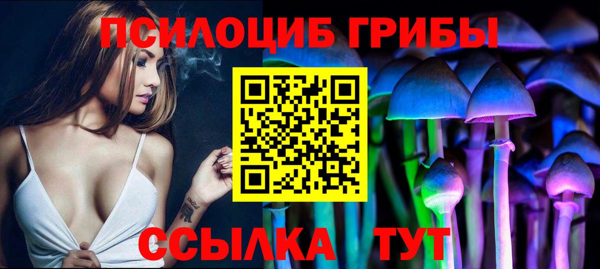 Галлюциногенные грибы Cubensis  Псилоцибиновые грибы Cubensis  Вход с VPN  Пятигорск 